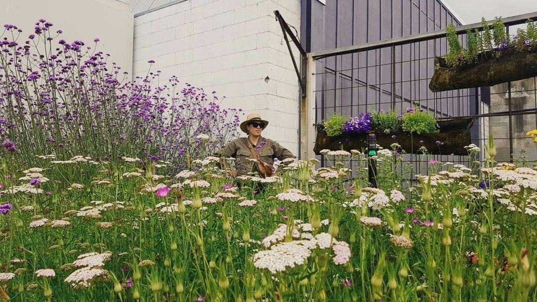 みどり庭園 8